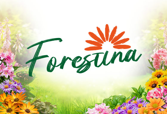 Forestina