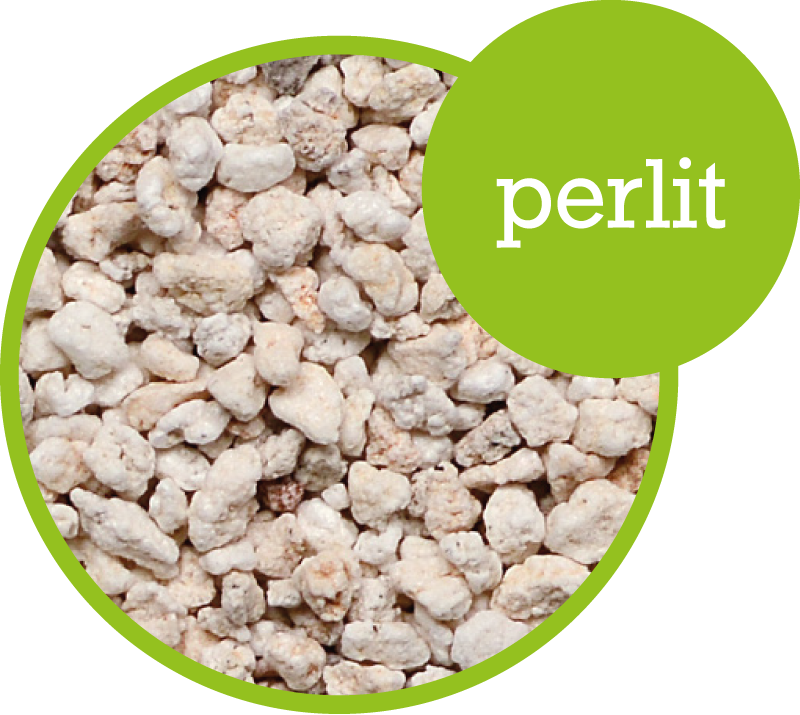 Perlit