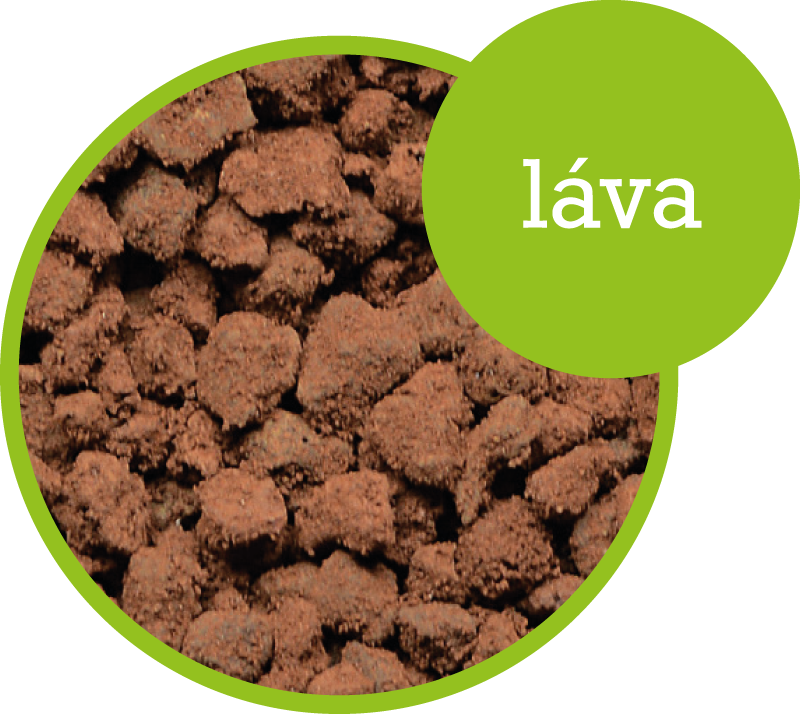 Láva