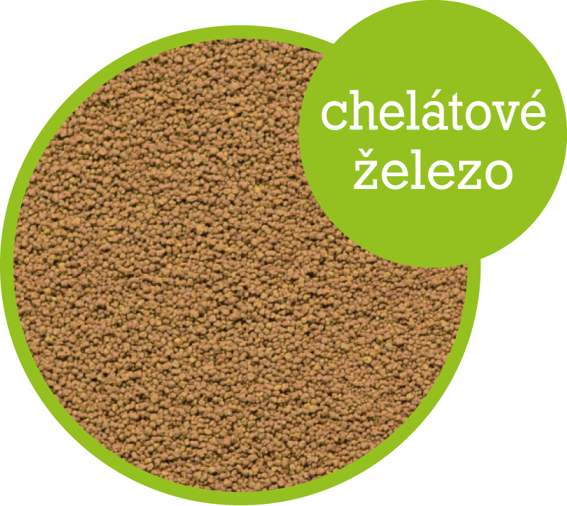 Chelátové železo