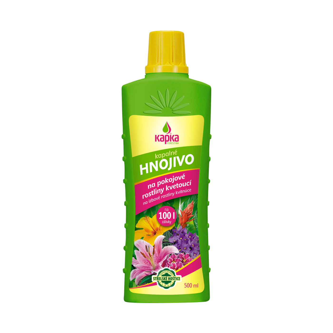 Pokojové rostliny kvetoucí