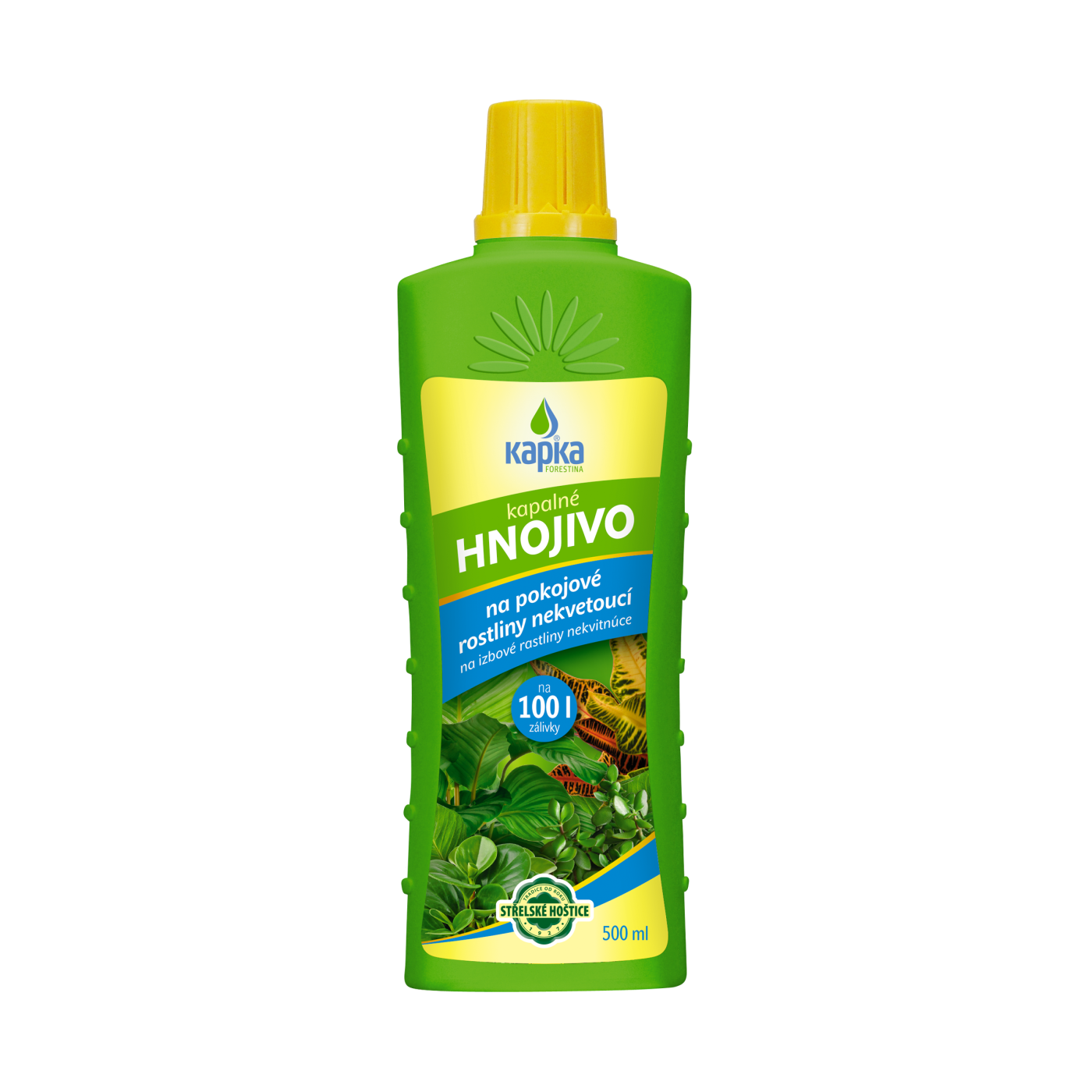 Pokojové rostliny nekvetoucí