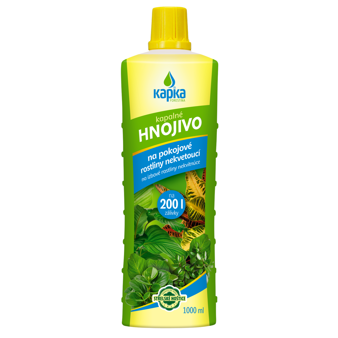 Pokojové rostliny nekvetoucí