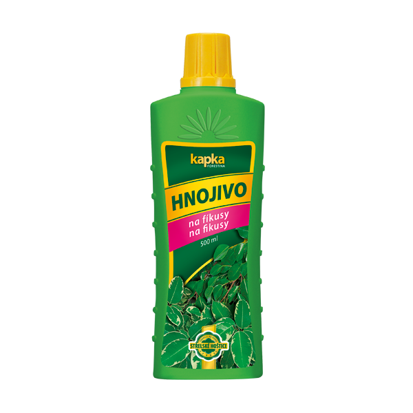 Kapka na fíkusy