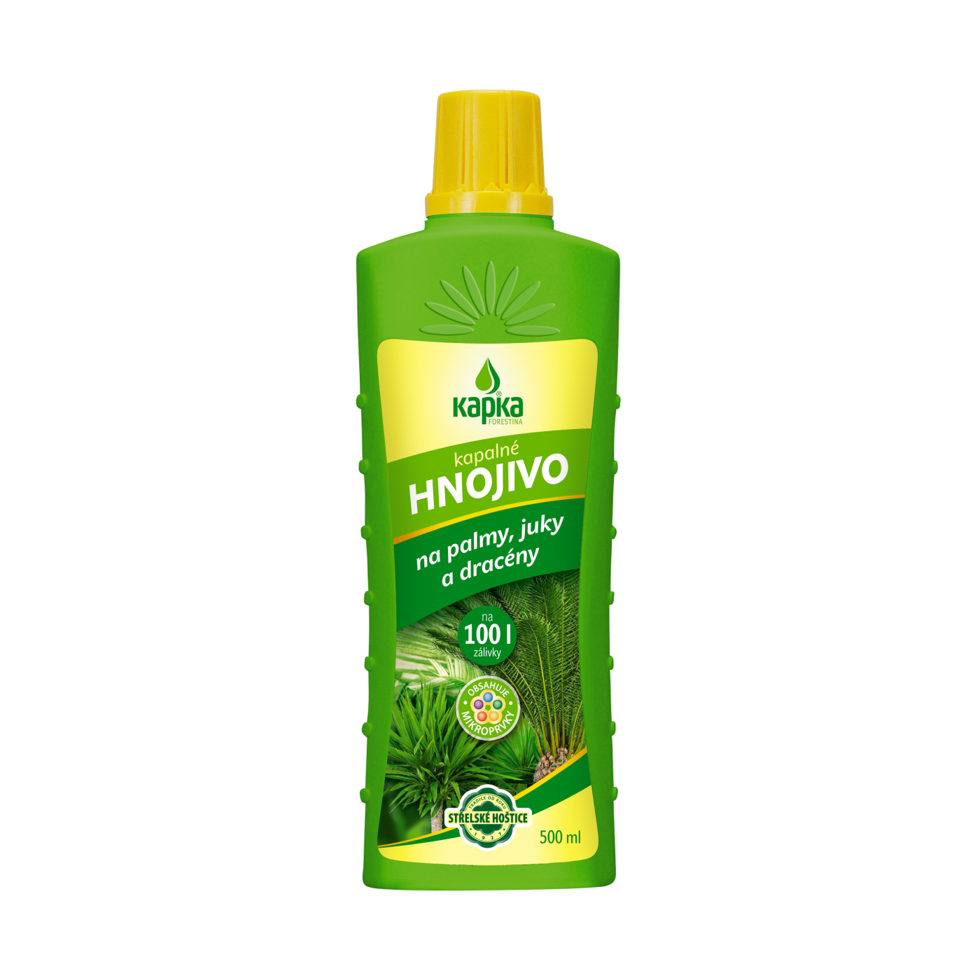 Kapka na palmy, juky, dracény