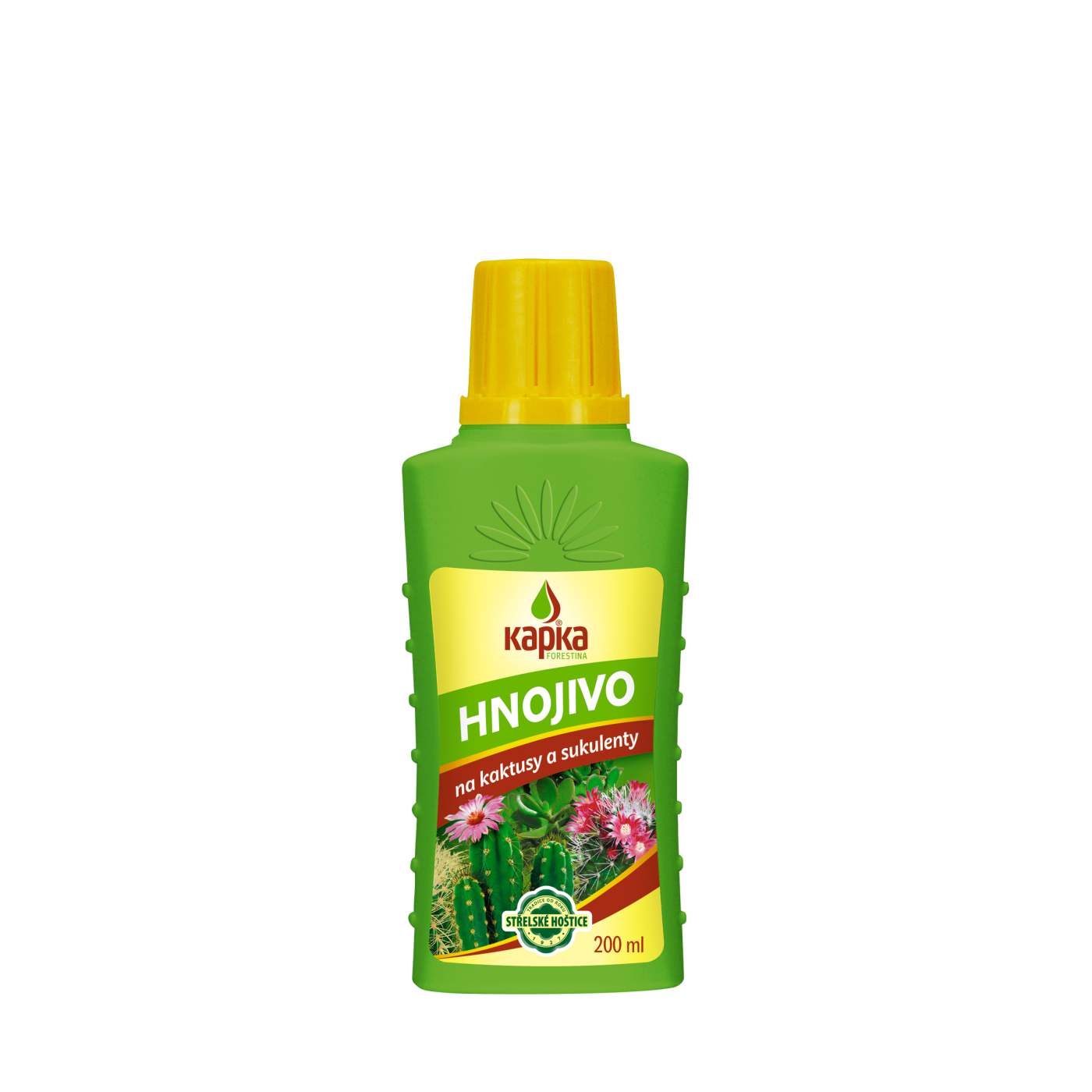 Kapka na kaktusy a sukulenty