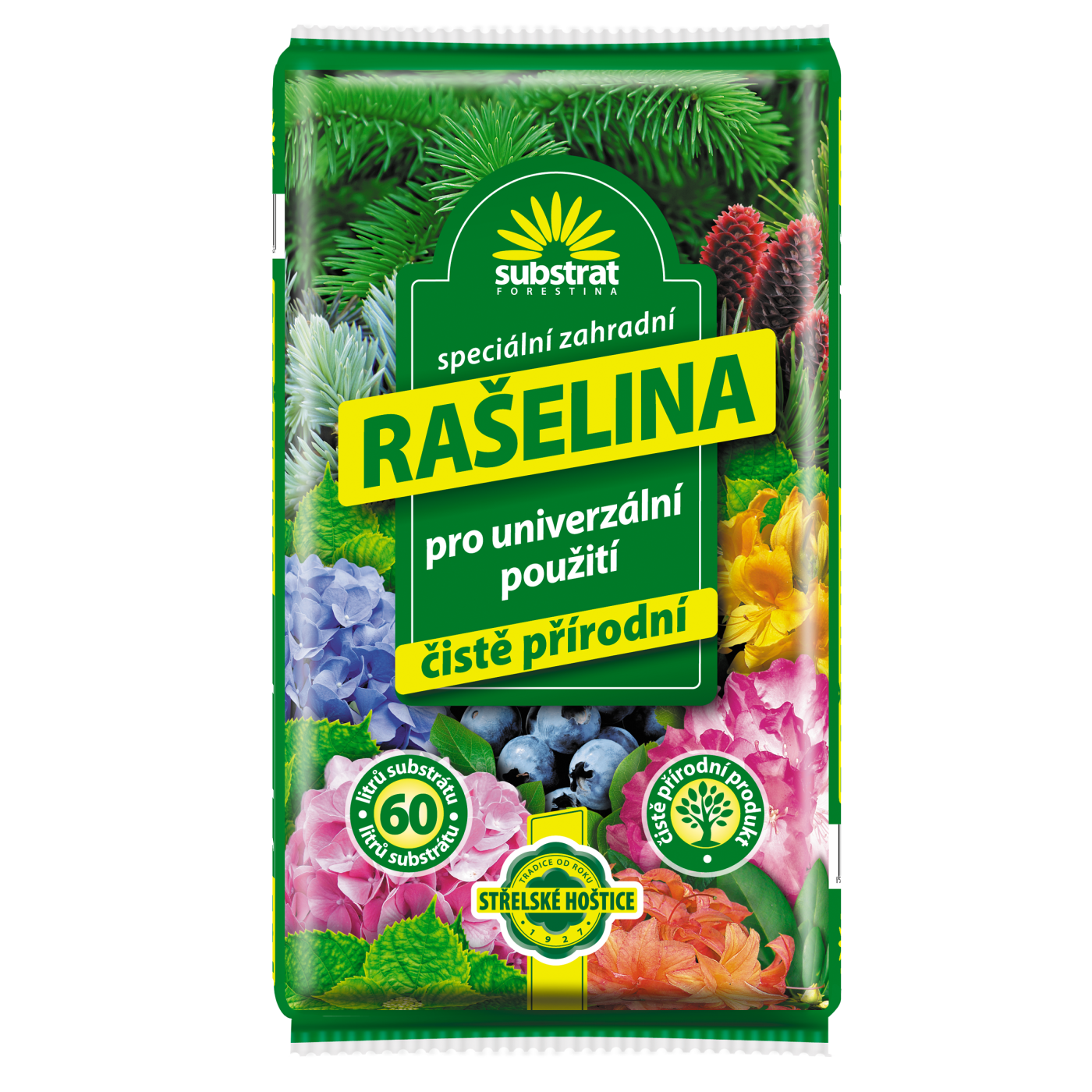 Rašelina